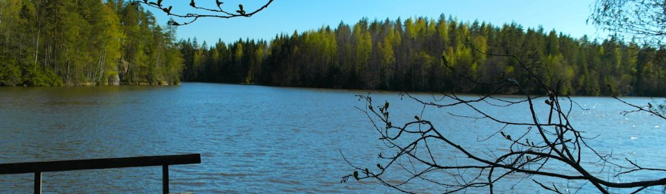 Liukukuva